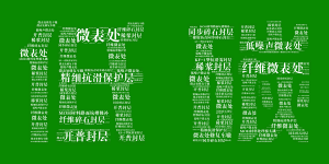 mksports邀您共享低碳“盛宴”